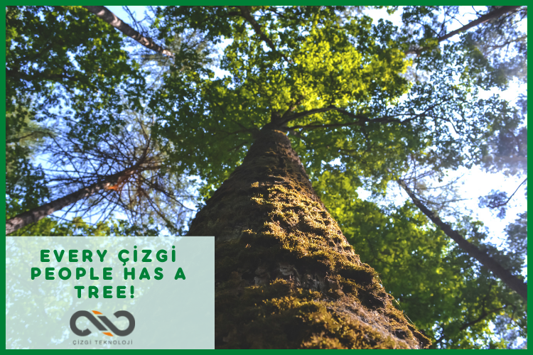 Every Çizgi People has a tree!